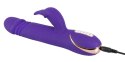 Rabbit Skater Purple Vibe Couture