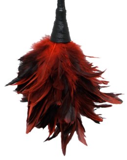 FFS Frisky Feather Duster Fetish Fantasy Series