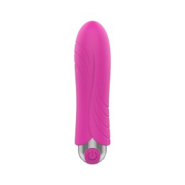 Exclusive Bullet USB 10 functions Pink Boss Series Vision