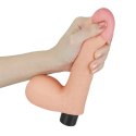 Realistyczny wibrator penis z jadrami 17 cm Lovetoy