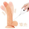 Zestaw majtki strap-on z wibrującym dildo 21,5cm Lovetoy