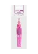 Stymulator-BUNNY STIMULATOR PINK ToyJoy Basics