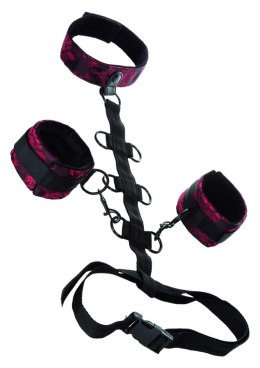 Wiązania-SCANDAL COLLAR BODY RESTRAINT CalExotics