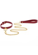 O-Ring Collar and Chain Leash Scala