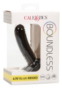 Boundless 4.75/12cm Ridged CalExotics