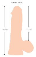 NS Dildo with movable skin 20 Nature Skin