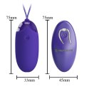 PRETTY LOVE - Berger - Youth, Wireless remote control 12 vibration functions Pretty Love