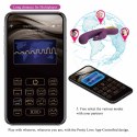 PRETTY LOVE - Liam purple, 12 vibration functions Mobile APP Long-distance Control Pretty Love