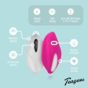 Mini Vibrator With Remote Control Teazers